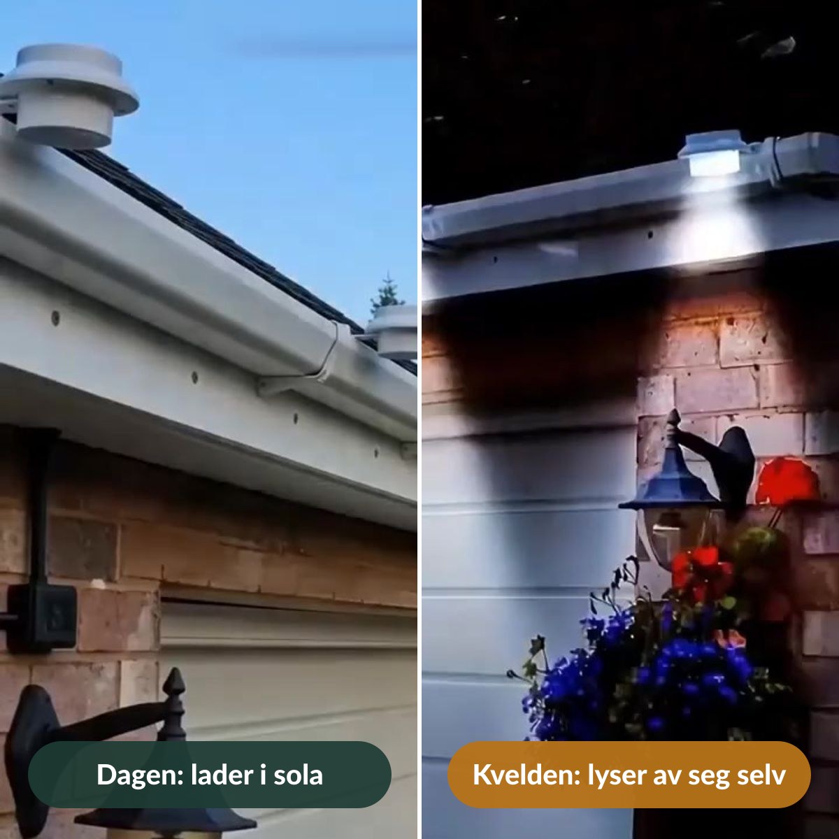 Om dagen lader lampene i sola, om kvelden lyser de av seg selv