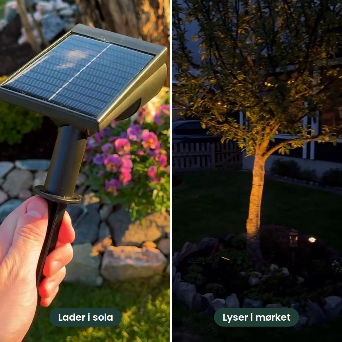 Om dagen lader panelet i sola, om kvelden lyser lampen opp treet